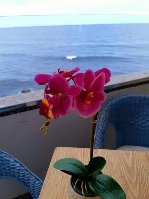 شقة Ocean Orchidea بويرتو ذي لا كروز المظهر الخارجي الصورة
